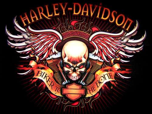 Ice Buckets: Harley Davidson. Brand New Products. Collections are allowed.