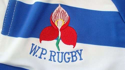 WESTERN PROVINCE RUGBY GLASS SALT and PEPPER GIFT PACK. Collections are allowed.