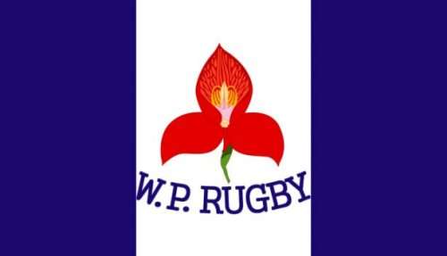 WESTERN PROVINCE RUGBY GLASS SALT and PEPPER GIFT PACK. Collections are allowed.