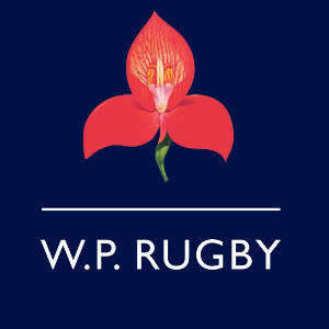 WESTERN PROVINCE RUGBY GLASS SALT and PEPPER GIFT PACK. Collections are allowed.