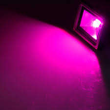LED Floodlights: Magenta Colour 20W 220V Black Slim Line. New on Bidorbuy. Collections are allowed.