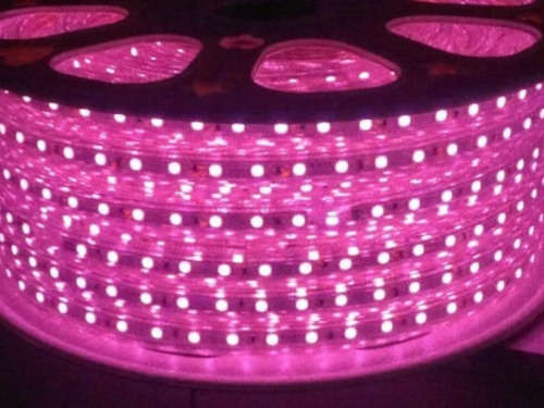 LED Strip Rope Lights 100m PINK 220V Complete Kit With Connector Plug + End Cap. Collections Allowed