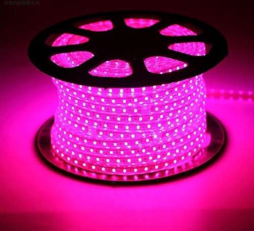 LED Strip Rope Lights 100m PINK 220V Complete Kit With Connector Plug + End Cap. Collections Allowed