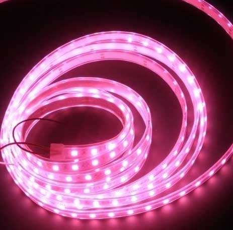 LED Strip Rope Lights 100m PINK 220V Complete Kit With Connector Plug + End Cap. Collections Allowed