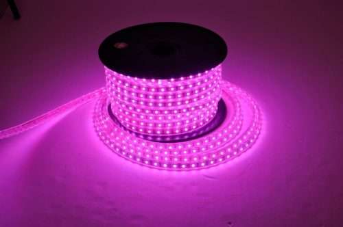 LED Strip Lights: PURPLE/VIOLET 220V Complete With Connector Plug + End Cap. Collections are allowed
