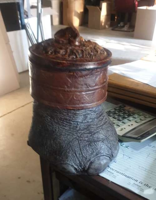 Ice Buckets: Faux Elephant Foot. Brand New Products. Collections are allowed.