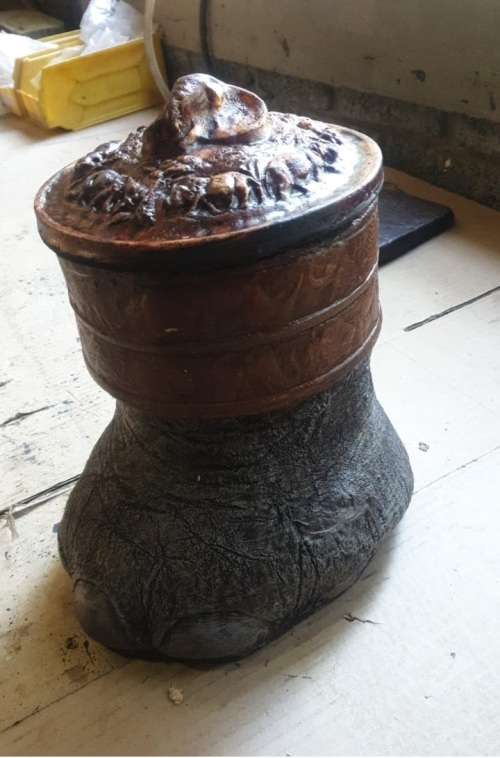 Ice Buckets: Faux Elephant Foot. Brand New Products. Collections are allowed.