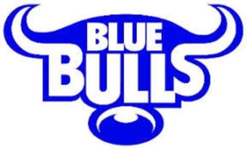 BLUE BULLS RUGBY Ultimate Supporters Combo Bar Mancave Pack. New Products. Collections allowed