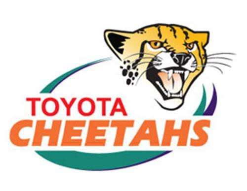 Cheetahs Rugby Large Barrel End Liquor Dispensers with 2 Optic Sets. Brand New. Collections Allowed.