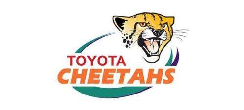 Cheetahs Rugby Large Barrel End Liquor Dispensers with 2 Optic Sets. Brand New. Collections Allowed.