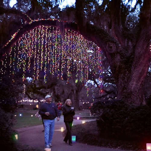 LED Decorative Fairy Curtain Lights Waterproof 220V AC in RGB Multicolour. Collections are allowed.