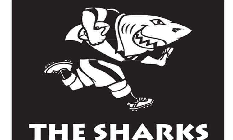 Sharks Rugby Ice Buckets. Brand New Products. Collections Are Allowed.