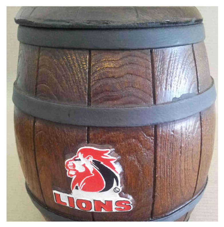 Lions Rugby Ice Buckets. Brand New Products. Collections Are Allowed.