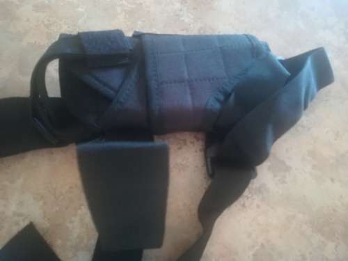 Gun Holster