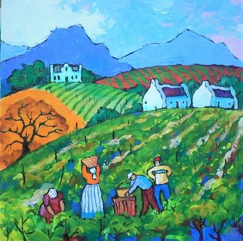 grape picking on a wine farm