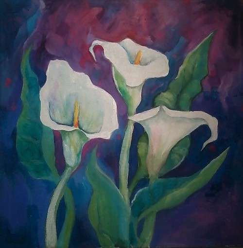 beautiful arum lilies