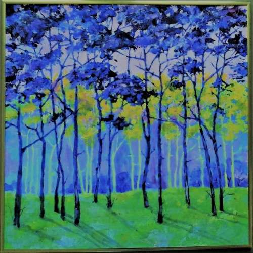 trees in a verdant forest