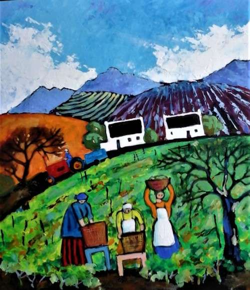 winelands in the cape