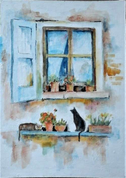 cats under a window