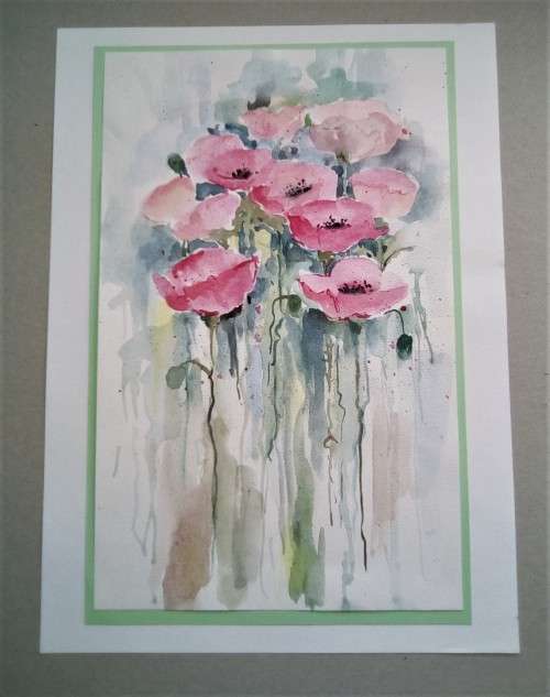 springtime pink poppies in watercolour