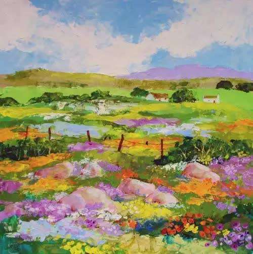 namaqualand in full bloom