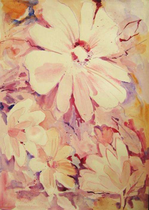 splash of pink spring flowers