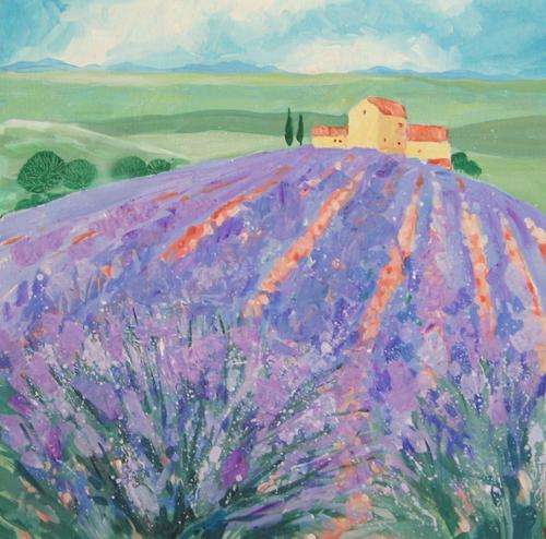 Lavender Field
