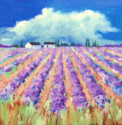lavender flields
