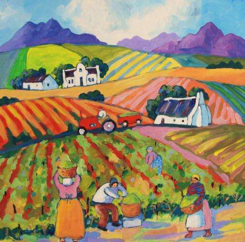 vineyards in the boland