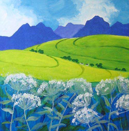 canola fields in the overberg