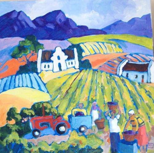 vineyards in the boland