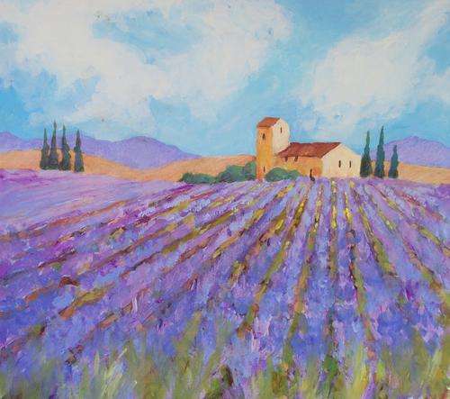 Lavender Fields