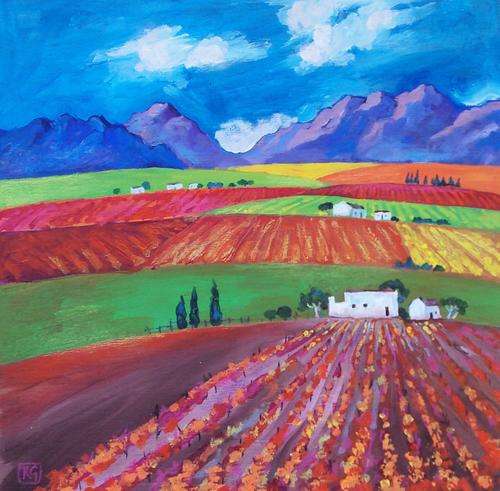 Vineyards in the Cape