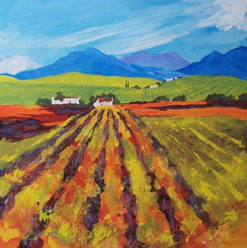 Cape Vineyards