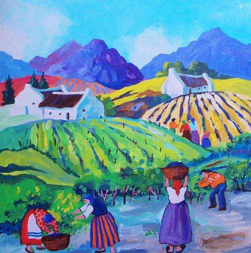 Cape Grape Harvest