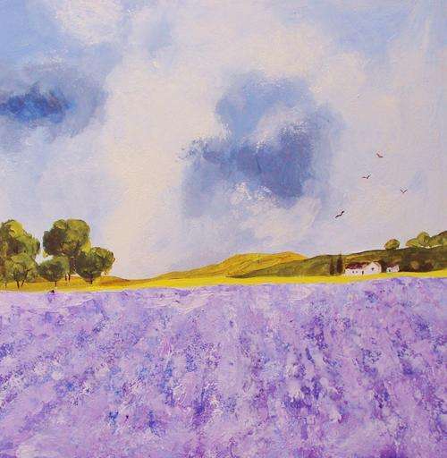 Lavender Field