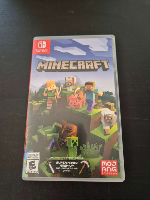 nintendo switch minecraft