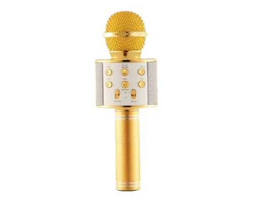 Everlotus Wireless Karaoke Microphone - Gold