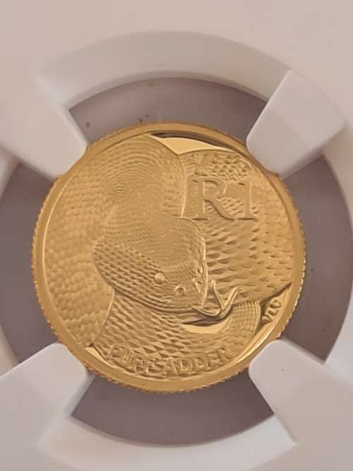 2017 Gold 10th oz - Puff Adder - Rare Natura coin - NGC- PF69