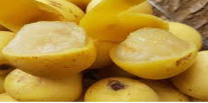Marula Seeds