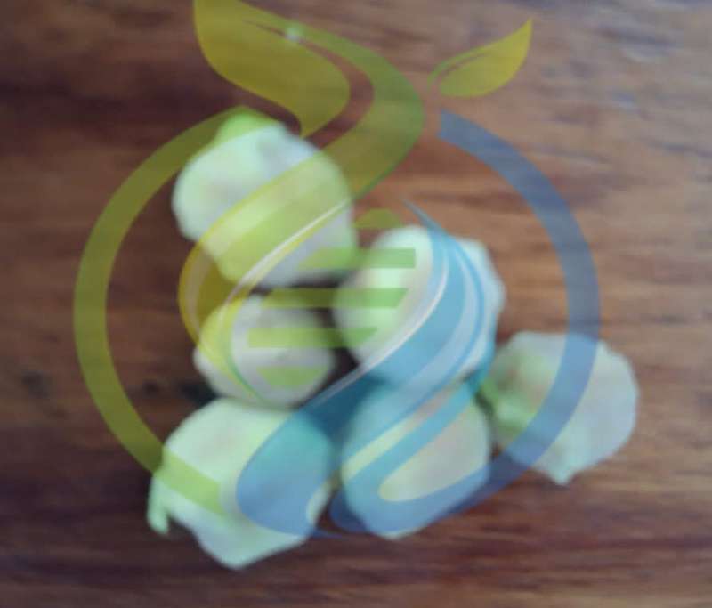 Neem seed