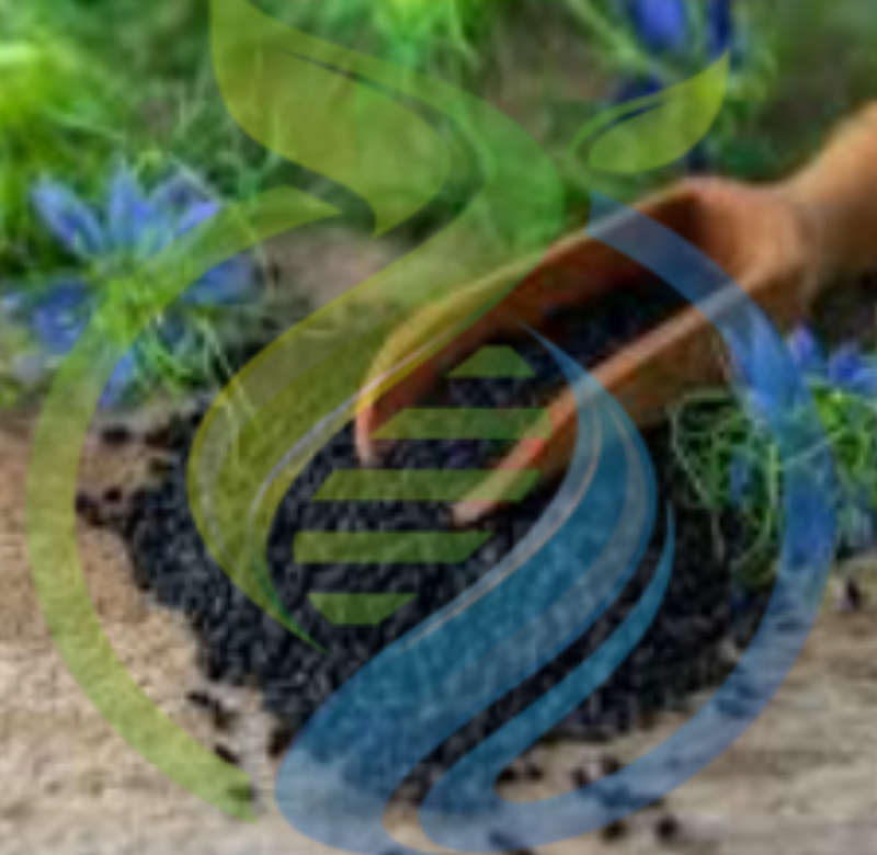 Nigella Sativa seed