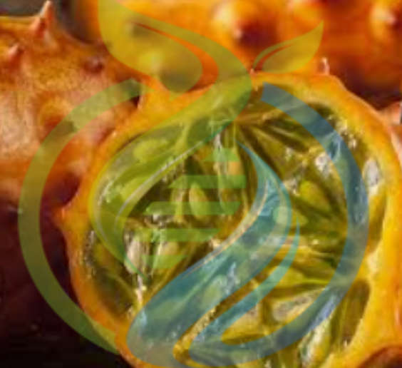 Horned African Cucumber seed
