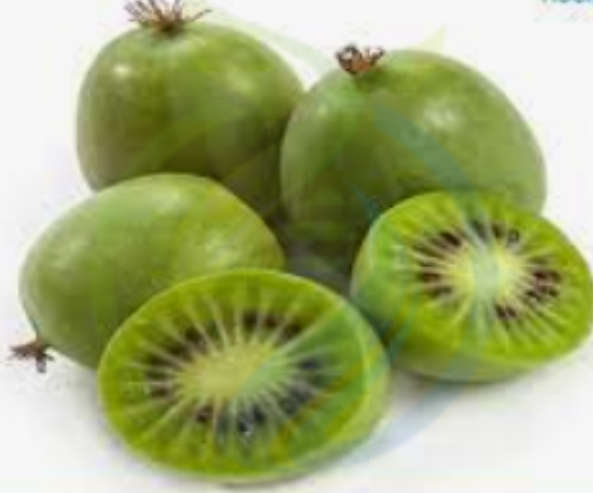 Kiwi Berry Seed