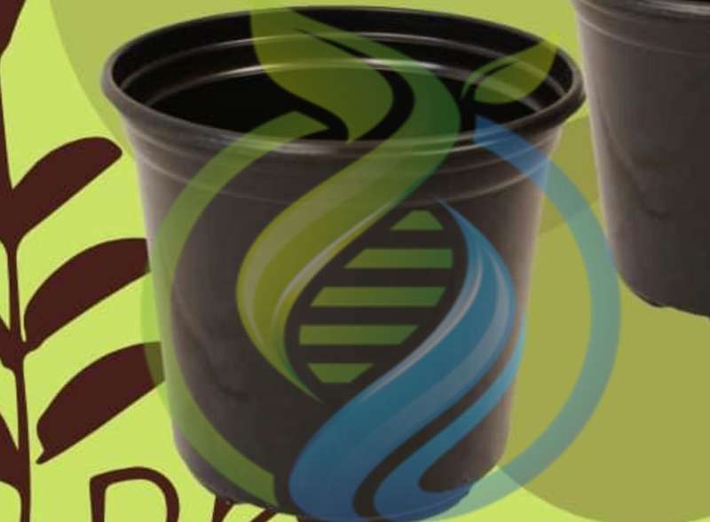 Plastic Planting Pots 12cm