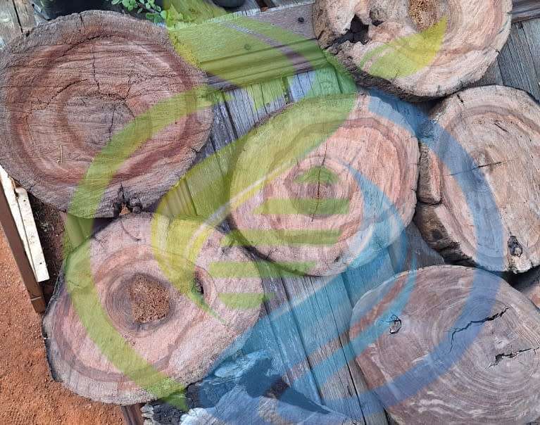 Wooden Stepping Stones