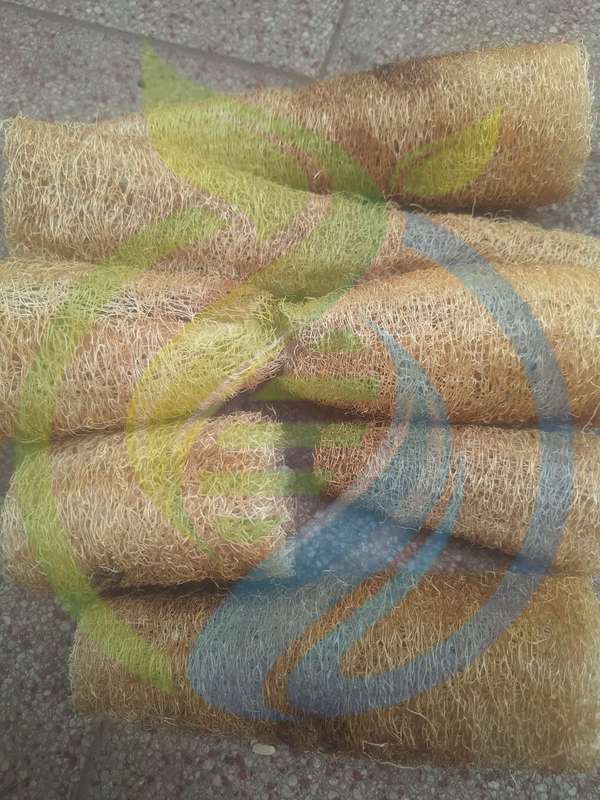 Loofah Sponge seed