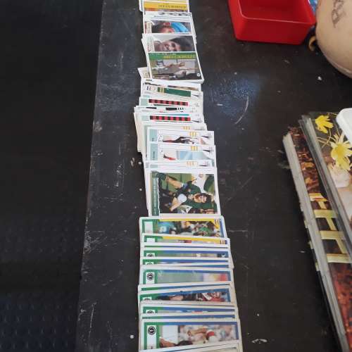 1992/1993 Cricket, Curriecup and Tri Nations card collection