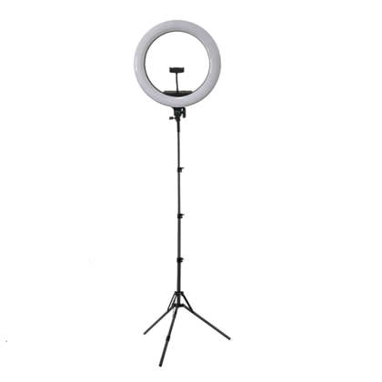 Professional 10 Inch Ring Light With 2M Tripod Stand