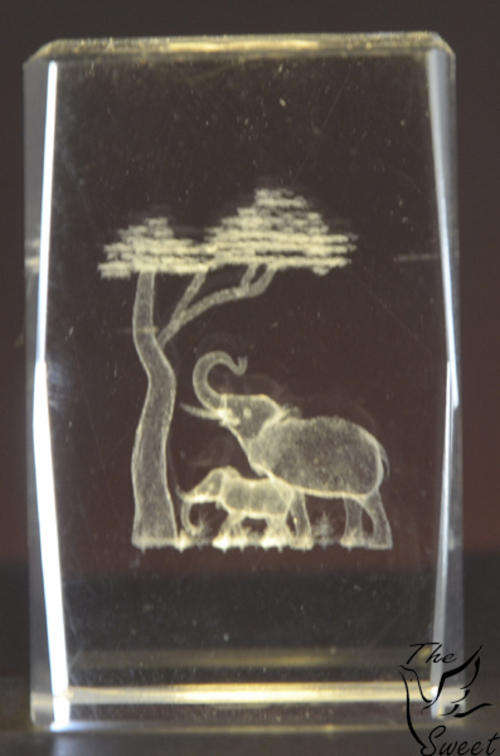 3D Engraved glass Elephants